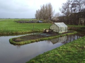 The Towpath